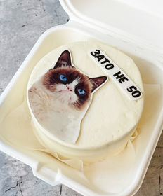 Бенто-торт «Недовольный кот бенто»