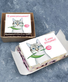Торт-открытка «Котик с тюльпаном С днем рождения»